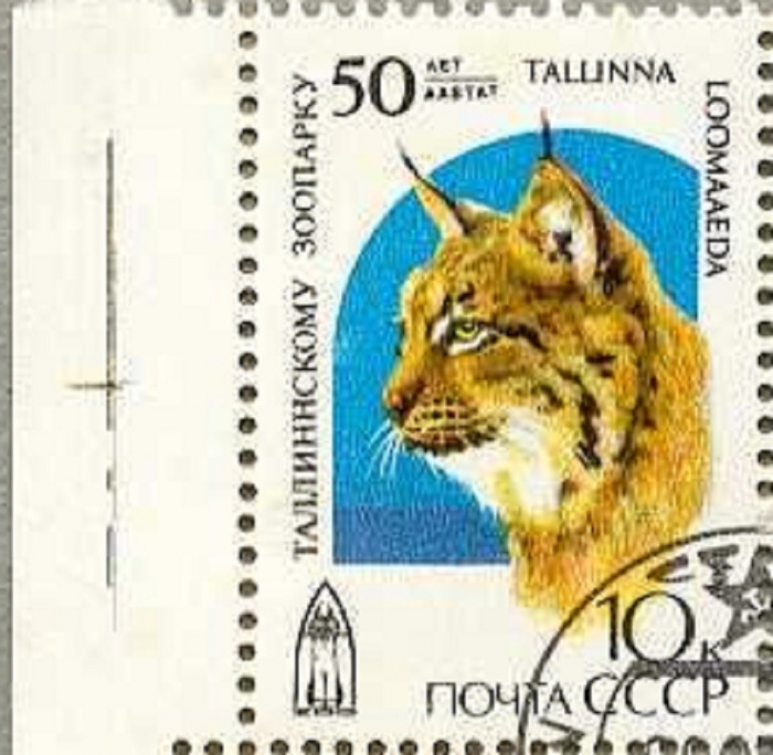 (1989-060) Марка СССР &quot;Рысь&quot;   50 лет Таллинскому зоопарку III Θ