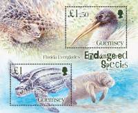 (№2006-41) Блок марок Гернси 2006 год "Кожистая Черепаха Dermochelys coriacea дерева Аист М", Гашены