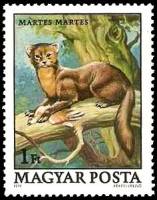 (1979-065) Марка Венгрия "Лесная куница"    Охраняемые животные I Θ