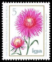 (1975-063) Марка Германия (ГДР) "Каллистефус"    Цветы II Θ