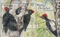 (№2013-166) Блок марок Малайзия 2013 год "Whitebellied Дятел Dryocopus javensis", Гашеный