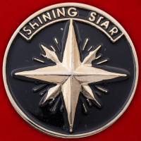 29880\132883 Значок "Shining star"