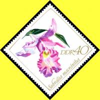 (1968-092) Марка Германия (ГДР) "Собралия крупноцветковая"    Орхидеи II Θ