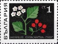 (1969-002a) Марка Болгария "Без красного цвета"   Лекарственные растения III O