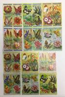 --  Набор блоков Бурунди 12 шт.  Гашёные , III Θ