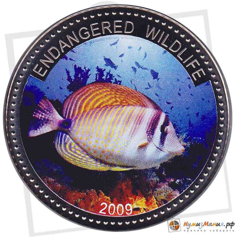 Монета острова Палау 1 доллар 2009 год &quot;Оранжевопёрый спинорог&quot; Цветное покрытие, PROOF, AU