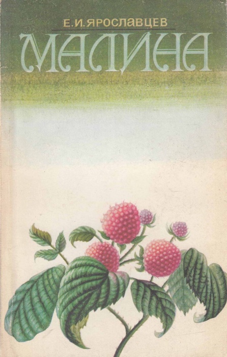 Книга Малина 1979 Е. Ярославцев Москва Мягкая обл. 159 с. С ч/б илл