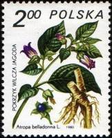 (1980-043) Марка Польша "Белладонна"    Лекарственное растение III Θ