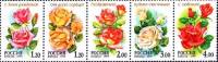 1999-037-41  Сцепка (5 м) Россия  Розы III O