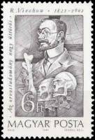 (1989-066) Марка Венгрия "Рудольф Вирхов"    Пионеры медицины III Θ