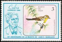(1986-019) Марка Куба "Кубинский лесной певун"    90 лет со дня смерти Хуана Кристобаля Гундлаха III