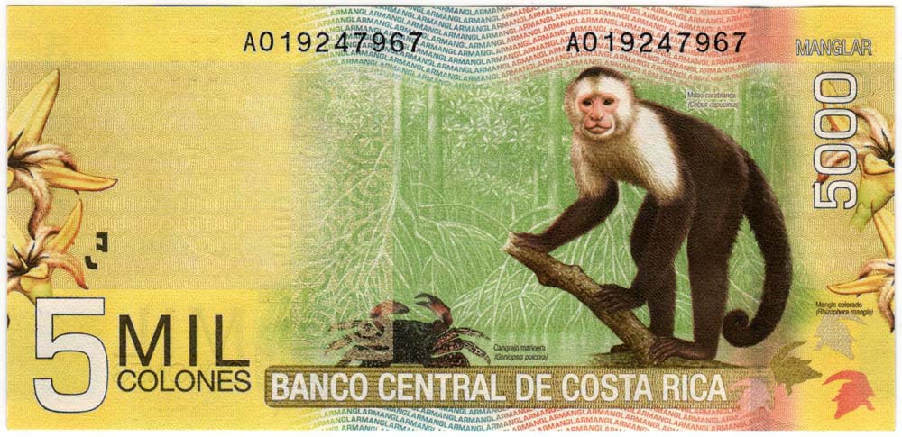 () Банкнота Коста-Рика 2009 год 5 000  &quot;&quot;   UNC