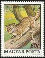 (1979-064) Марка Венгрия "Лесной кот"    Охраняемые животные II Θ