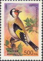 (1995-034) Марка Россия "Щегол"   Фауна. Певчие птицы России III O