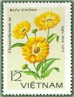 (1978-057) Марка Вьетнам "Ким тянь"   Хризантемы III O