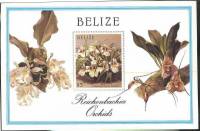 (№1987-94) Блок марок Белиз 1987 год "Miltoniopsis roezlii synOdontoglossum roezlii", Гашеный