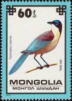 (1979-068) Марка Монголия "Голубая сорока"    Охраняемые птицы III Θ