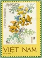 (1986-108a) Марка Вьетнам "Фокения "  Без перфорации  Редкие растения III Θ