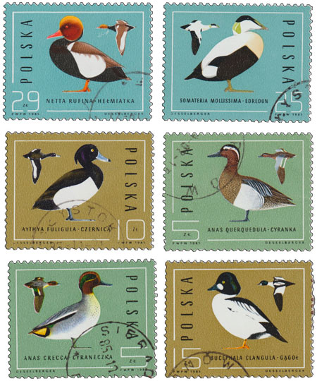 (1985-) Марка Польша &quot;&quot;      III не использовать Θ