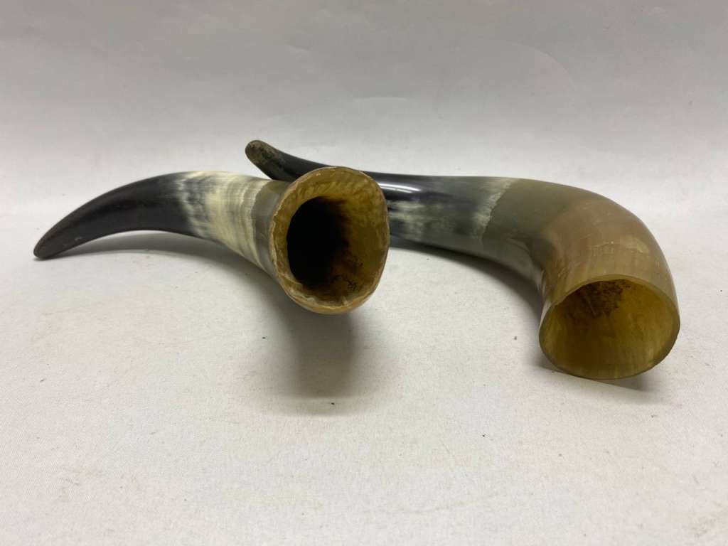 Рог сувенирный натуральный 2 шт