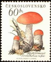 (1958-046) Марка Чехословакия "Подосиновики"    Грибы II Θ
