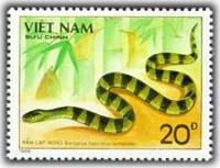 (1989-043a) Марка Вьетнам "Полосатый крайт"  Без перфорации  Ядовитые змеи III Θ