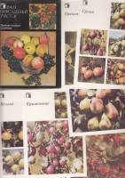 Набор открыток "Ваш приусадебный участок. Плодово-ягодные культуры", 18 шт., 1986 г.