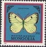 (1986-032) Марка Монголия "Желтушка горная"    Бабочки III Θ
