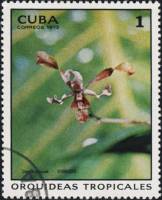 (1973-017) Марка Куба "Дендробиум"    Орхидеи III Θ