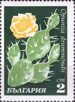(1970-021) Марка Болгария "Опунция друмонди"   Кактусы III Θ