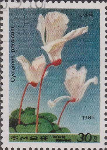 (1985-067) Марка Северная Корея "Цикламен персидский"   Цветы III &Theta;