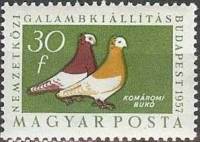 (1957-023) Марка Венгрия "Коморн Неваляшка"    Международная выставка голубей, Будапешт III Θ