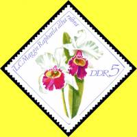 (1968-088) Марка Германия (ГДР) "Лелия"    Орхидеи II Θ