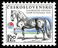 1976-041 Марка Чехословакия Жеребец   Сельскохозяйственная выставка III Θ