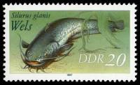 (1987-042) Марка Германия (ГДР) "Обыкновенный сом"    Пресноводная рыба II Θ