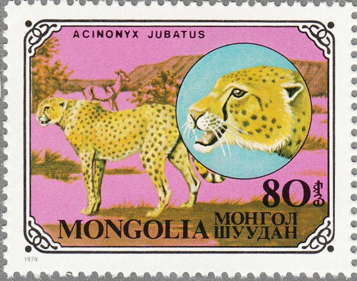 (1979-059) Марка Монголия &quot;Гепард&quot;    Дикие животные III O
