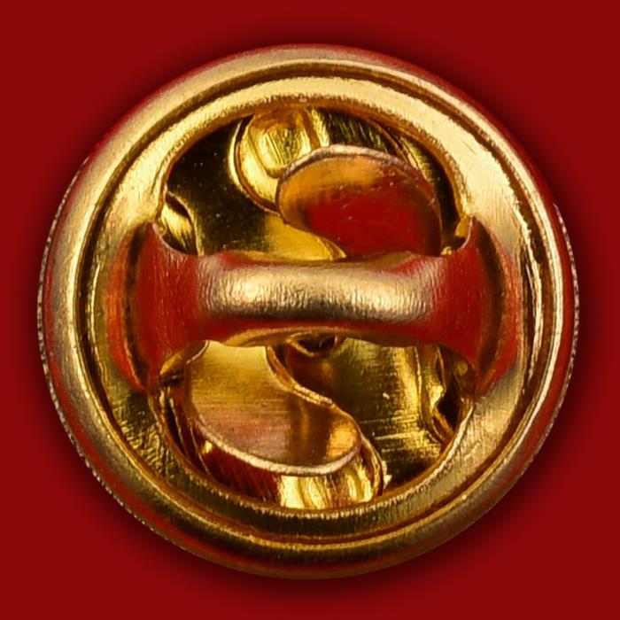 30232\133235 Значок &quot;Чип спешит на помощь&quot;