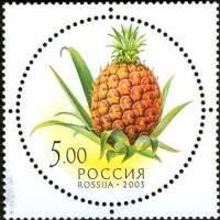 2003-064 Марка Россия Ананас  Дары природы III O