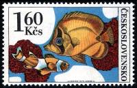 (1975-029) Марка Чехословакия "Оранжевый Клоун"    Аквариумные рыбы III Θ
