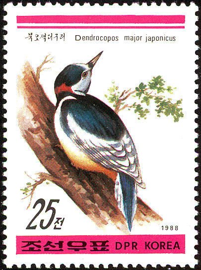 (1988-044a) Лист (4м) Северная Корея "Большой пёстрый дятел"   Птицы III &Theta;