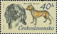 1973-040  Марка Чехословакия Баварская ищейка   50 лет Чехословатскому охотничьему делу III Θ