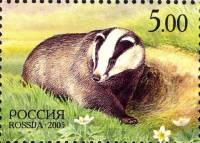 2005-035  Марка из блока Россия Барсук  Природа III O