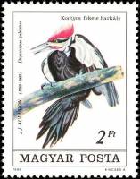 (1985-030) Марка Венгрия "Хохлатая желна"    Птицы II Θ