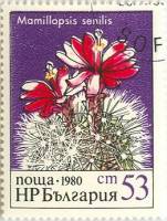 (1980-096) Марка Болгария "Мамиллопсис старческий"   Кактусы III Θ