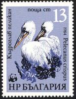 (1984-073) Марка Болгария "Пеликан (2)"   Всемирная охрана природы III Θ