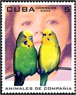 (№4625) Марка Куба 2004 год &quot;Волнистый попугайчик Melopsittacus undulatus&quot;, Гашеная