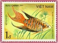 (1984-066) Марка Вьетнам "Макропод"    Рыбы III Θ