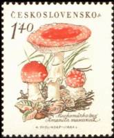 (1958-047) Марка Чехословакия "Мухоморы"    Грибы III Θ