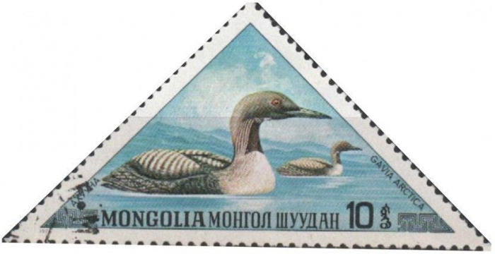 (1973-037) Сцепка тет-беш (2 м) Монголия &quot;Чернозобая гагара&quot;    Дикие водоплавающие птицы III Θ