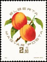 (1964-064) Марка Венгрия "Эльберта"    Национальная выставка абрикосов в Сегеде III Θ